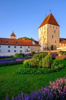 Sunrise in the paradise garden, lavender, Neuburg am Inn Castle, Neuburg am Inn, Lower Bavaria,