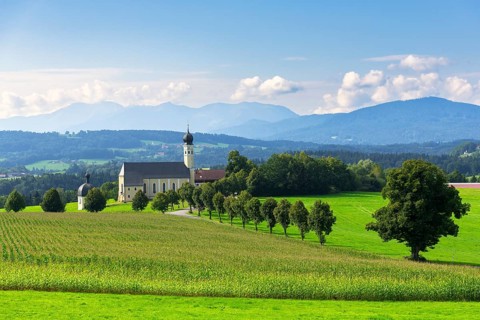 Pilgrimage church of St Marinus and Anian in Wilparting, cornfield, avenue, municipality of