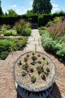 Rockery with Echeveria, view from above, rock garden, cottage garden, herb garden, Sissinghurst