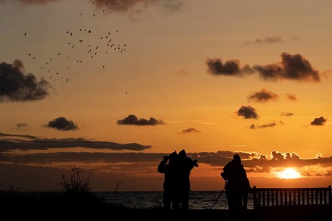People birdwatching birdwatchers viewing wading birds heading off to roost on The Wash at sunset,