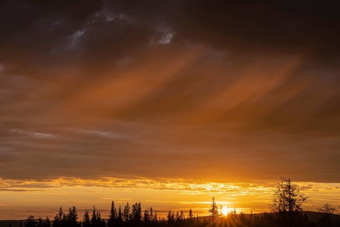 Evening mood, Gällivare, Norrbotten, Lapland, Sweden, June 2021