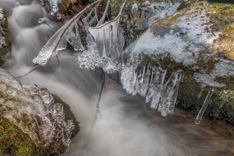 Branches are covered with ice near the river. The water flows gently and forms ice formations on