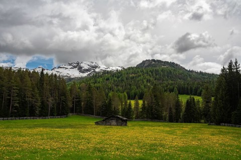 Captivating landscape of Alpe di Siusi in the Dolomites mountains, Italy, featuring lush meadows