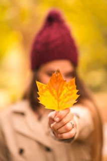 Hand of a woman outdoors of a beautiful young woman in a forest in autumn at sunset