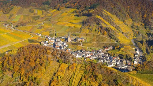 Vineyards in autumn, Mayschoß with parish church, red wine growing region Ahrtal, red wine of the