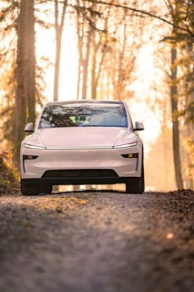 White car on a forest path in soft sunlight, Tesla, New Model Y, Black Forest, Germany