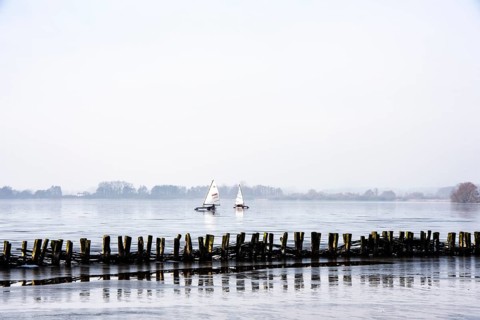 Ice sailor on frozen Dümmer Lake, Lembruch, Lower Saxony, Germany