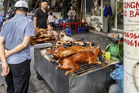 A street market stall in an Asian city sells grilled dog meat, surrounded by people and urban