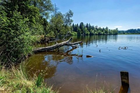 Kirchsee moor lake near Reutberg Monastery, Sachsenkam, Ellbach and Kirchseemoor nature reserve,