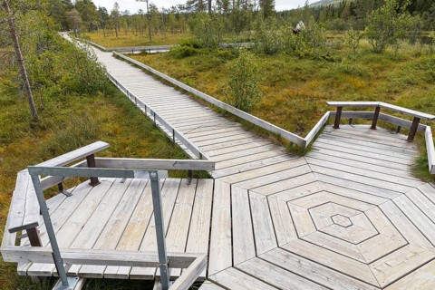 The hiking trail leads over a boardwalk through the high moor in Fulufjället National Park near