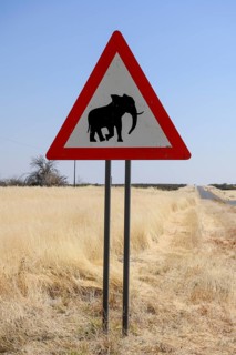 Beware of elephants sign, near Khorixas, Damaraland, Kunene Region, Namibia