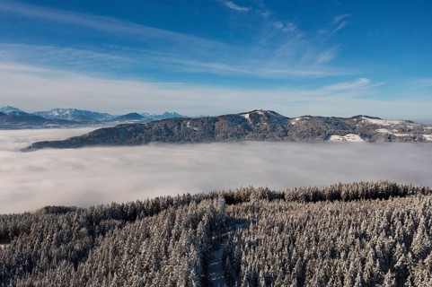 Drone flight over a winter landscape with snow-covered forest and sea of fog, Mondseeland,