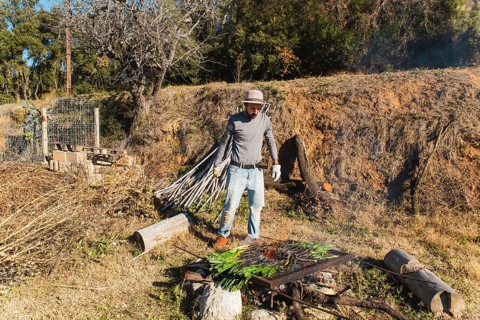 A man prepares calsots over an open flame in a rustic outdoor setting, celebrating the Catalan