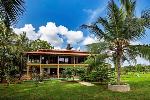 A tropical house with palm trees under a blue sky and white clouds, surrounded by greenery, house