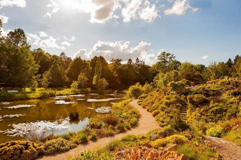 Botanical Garden, next to Nymphenburg Palace Park, 110th anniversary in 2024, Alpine Garden on the