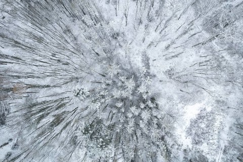 Snow-covered forest seen from above, Arnsberg, Hochsauerlandkreis, North Rhine-Westphalia