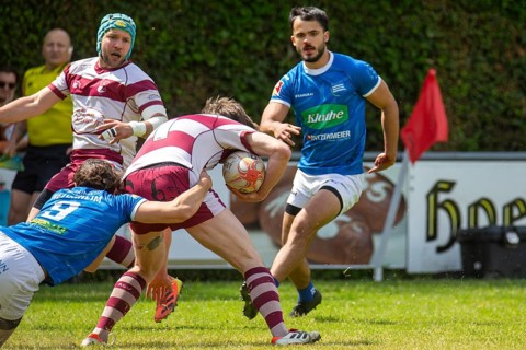 Rugby 1st Bundesliga South/West, Season 2024/25, Matchday 14: SC Neuenheim vs RSV Köln