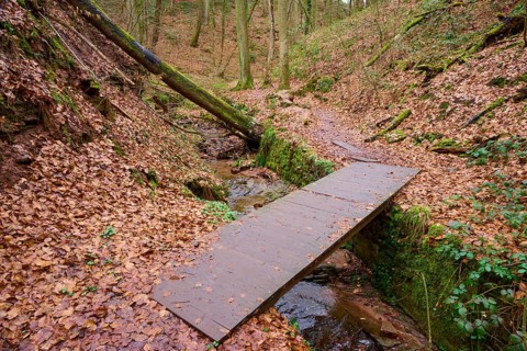 Narrow wooden bridge over a stream with autumn leaves and moss-covered trees, Seltenbach Gorge,