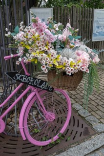 Pink coloured bicycle decorated with artificial flowers, Bavaria, Germany