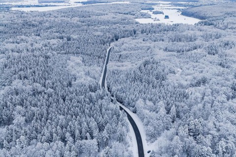 Snow-covered road leads through a vast winter forest, Gechingen, Calw district, Germany