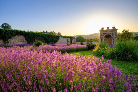 Sunrise in the paradise garden with garden grotto, lavender, Neuburg am Inn Castle, Neuburg am Inn,