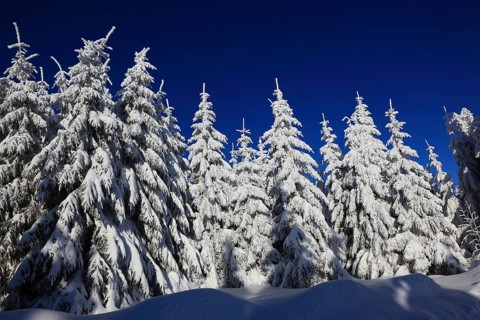 Winter landscape in the Fichtelgebirge, Bayreuth district, Upper Franconia, Bavaria, Germany
