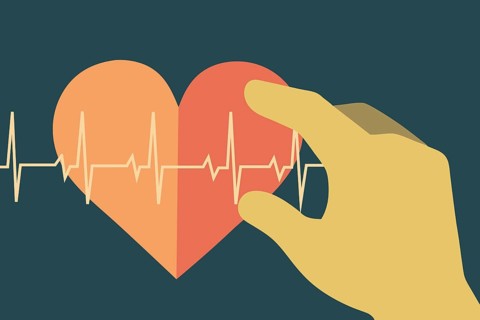 An illustration of a hand gently holding a heart with an ECG line running through it, symbolizing