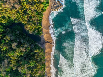 Aerial view, top-down, rainforest, sandy beach and coast with waves, Playa Cocalito, Puntarenas,