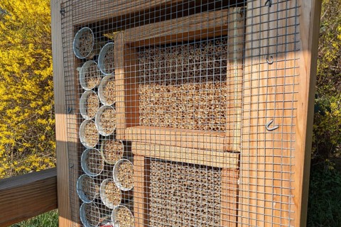 Close up of a wooden insect house hotel structure created to provide shelter for insects