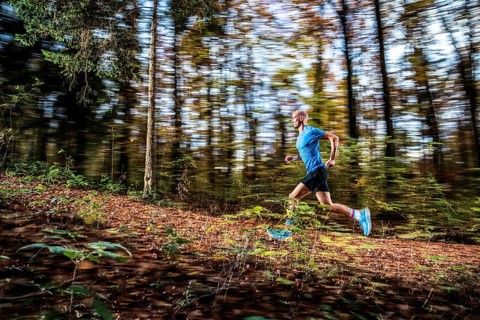 Man in a training session, trail running outdoors, healthy lifestyle, colorful autumn forest,