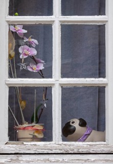 A ceramic dog and orchids stand on the windowsill behind an old mullioned window, Brittany, France