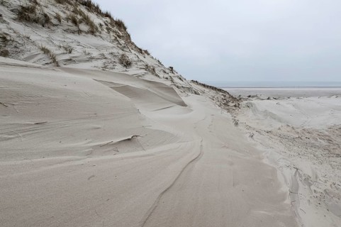 Dune landscape, Amrum, Schleswig-Holstein, Germany