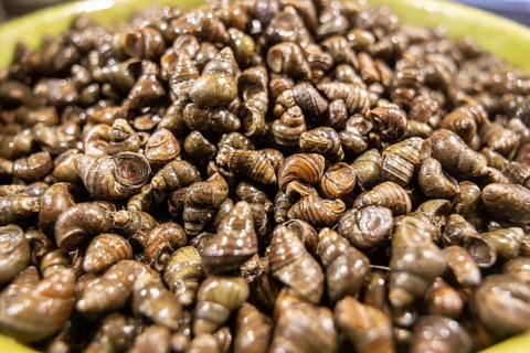 A close up image showcasing a pile of fresh snails in a bowl, highlighting their shiny, textured