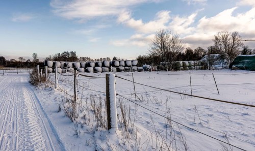 Winter landscape, fields and fields in Berlin Lübars, a village in Berlin Reinickendorf, Germany