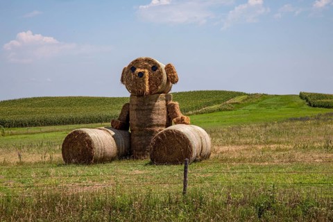 Holdrege, Nebraska - Art from hay bales on a Nebraska farm.