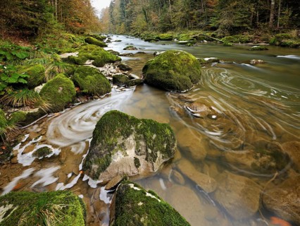 Moss-covered stones on the river Sihl, Sihlsprung, Menzingen, Canton Zug, Switzerland