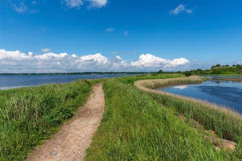 Small Noor in the nature reserve Holnis peninsula, nature reserve on the Flensburg Fjord, German,