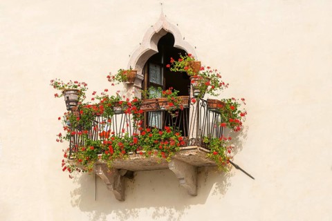Historic balcony with red blooming flowers, decoration, architecture, village, well-kept,