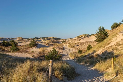Lacka Dune on a sunny day with a blue sky in the Slowinski National Park, northern Poland on the