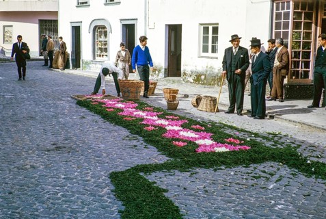 Laying out plants and flowers street religious procession, Procissao de Senhor de Infernos, Furnas,