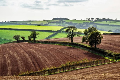 Colours of Devon Farms and Fields over Paignton and Berry Pomeroy, Totnes, England, United Kingdom