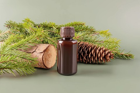A dark brown bottle of essential oil paired with fresh pine branches, a wooden log, and a pine cone
