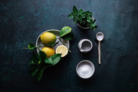 Fresh ingredients for a gin tonic cocktail are displayed on a dark background, featuring vibrant