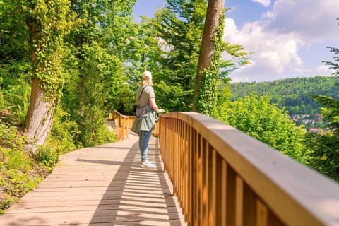 Woman walking in the sunshine on a wooden footbridge in a forest environment, Panorama Holzsteg,