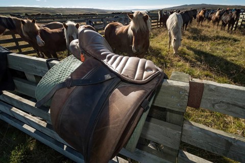 Saddle lying on a fence, horse round-up or réttir, near Laugarbakki, North Iceland, Iceland