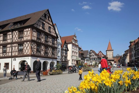 Half-timbered houses with Easter bells on Rathausplatz, spring, Obertorturm, Gengenbach, Southern