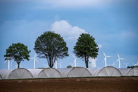 Agriculture, large areas with foil tunnels, for growing strawberries, south of Lövenich, belongs to