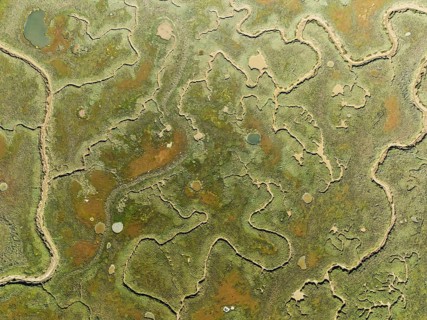 Network of channels and streams at low tide. In the marshland of the Piedras River. Aerial view.