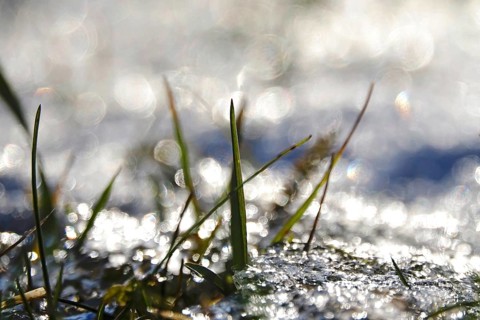 Ice and snow, Winter, Germany