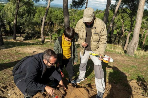 A father, son, and grandfather work together to replant trees in an urban park or forest, engaging